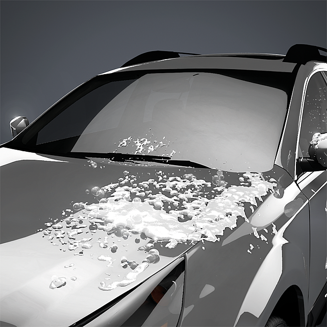 Auto&scaron;ampon Wash & Ready