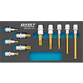 HAZET Sada nástrčných hlavic 163-221/10 ∙ 1/2 palce (12,5 mm) čtyřhran dutý ∙ Vnitřní ozubený profil XZN ∙ 10-dílný ∙ M8 ∙ M10 ∙ M12 ∙ M14 ∙ M16 ∙ M18 ∙ M8 ∙ M14 ∙ M10 ∙ M12