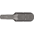 HAZET Bit 2224-T25 ∙ 5/16 palce (8 mm) šestihran masivní ∙ Vnitřní profil TORX® ∙ Velikost T25