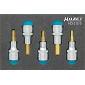 HAZET Sada nástrčných hlavic 163-215/5 ∙ 1/2 palce (12,5 mm) čtyřhran dutý ∙ Profil vnitřní šestihran ∙ 5-dílný ∙ 5 ∙ 6 ∙ 7 ∙ 8 ∙ 10