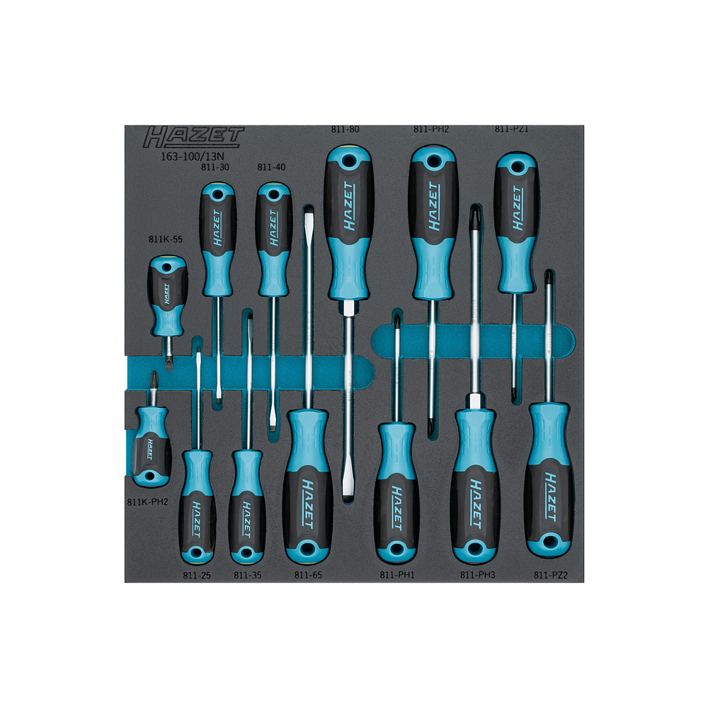 HAZET Sada &scaron;roubov&aacute;ků 163-100/13N ∙ Profil Pozidriv PZ, Kř&iacute;žov&yacute; profil PH, Ploch&yacute; profil ∙ 13-d&iacute;ln&yacute; ∙ 0,4&thinsp;x&thinsp;2,5&thinsp;&ndash;&thinsp;1,2&thinsp;x&thinsp;8 ∙ PH1&thinsp;&ndash;&thinsp;PH3 ∙ PZ1&thinsp;&ndash;&thinsp;PZ2