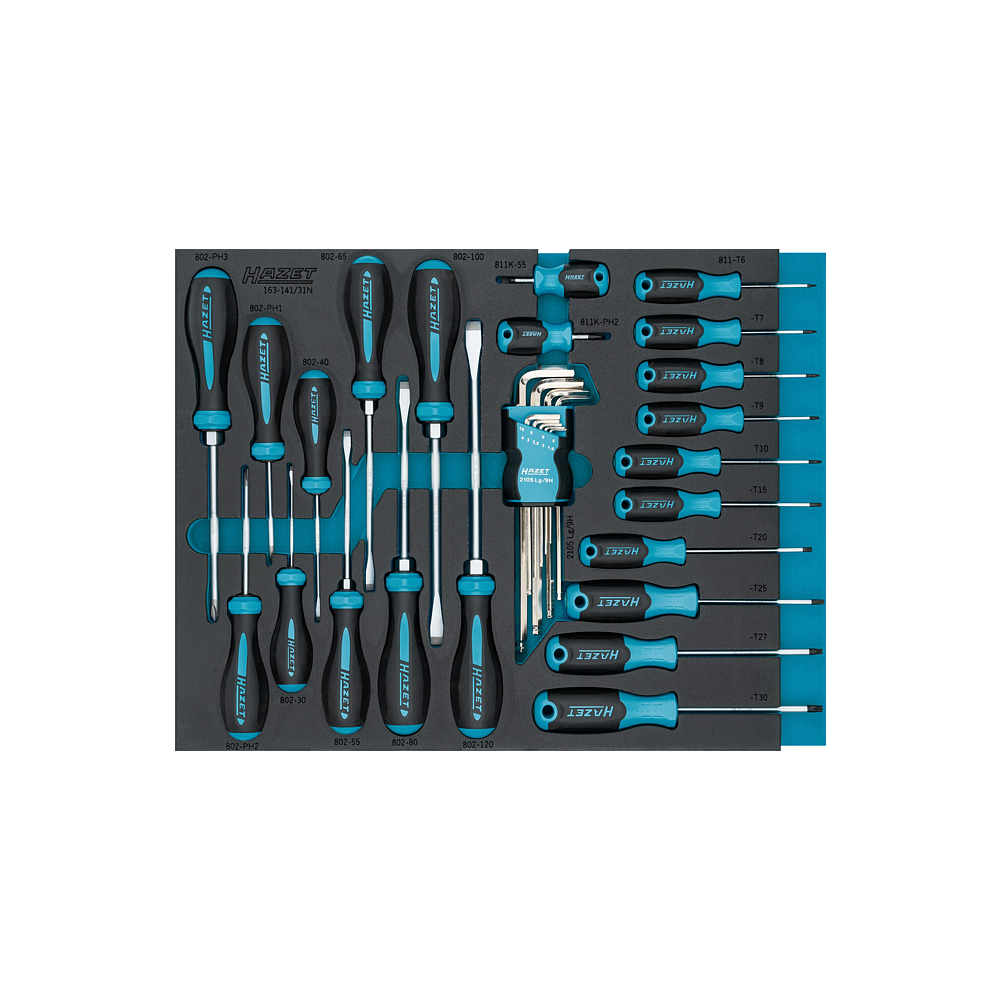 HAZET Sada &scaron;roubov&aacute;ků 163-141/31N ∙ Kř&iacute;žov&yacute; profil PH, Profil vnitřn&iacute; &scaron;estihran, Ploch&yacute; profil, Vnitřn&iacute; profil TORX&reg; ∙ 31-d&iacute;ln&yacute; ∙ 1,5&thinsp;&ndash;&thinsp;10 ∙ PH1&thinsp;&ndash;&thinsp;PH3 ∙ T6&thinsp;&ndash;&thinsp;T30