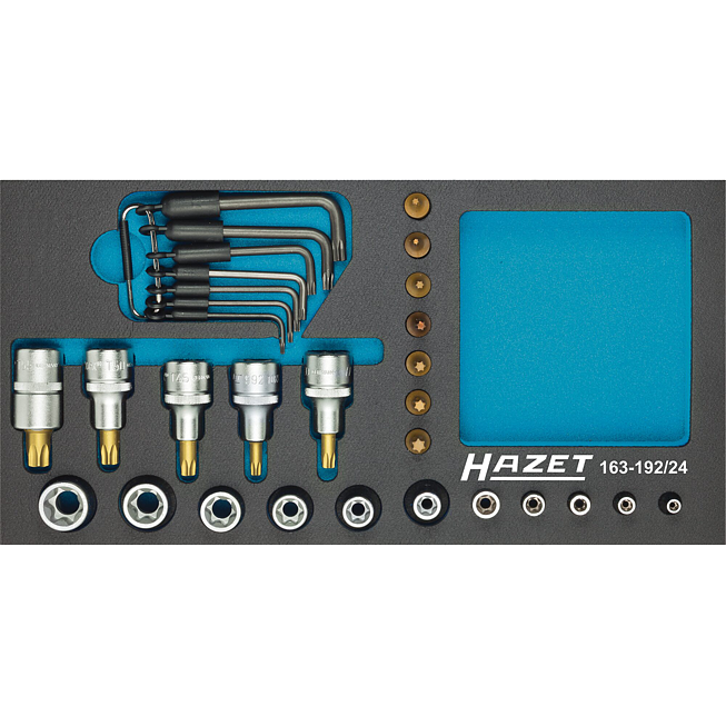 HAZET Sada nástrčných hlavic ∙ TORX® 163-192/24 ∙ 1/2 palce (12,5 mm) čtyřhran dutý, 1/4 palce (6,3 mm) čtyřhran dutý ∙ Vnější profil TORX®, Vnitřní profil TORX® ∙ 24-dílný ∙ T8 – T55 ∙ E5 – E20
