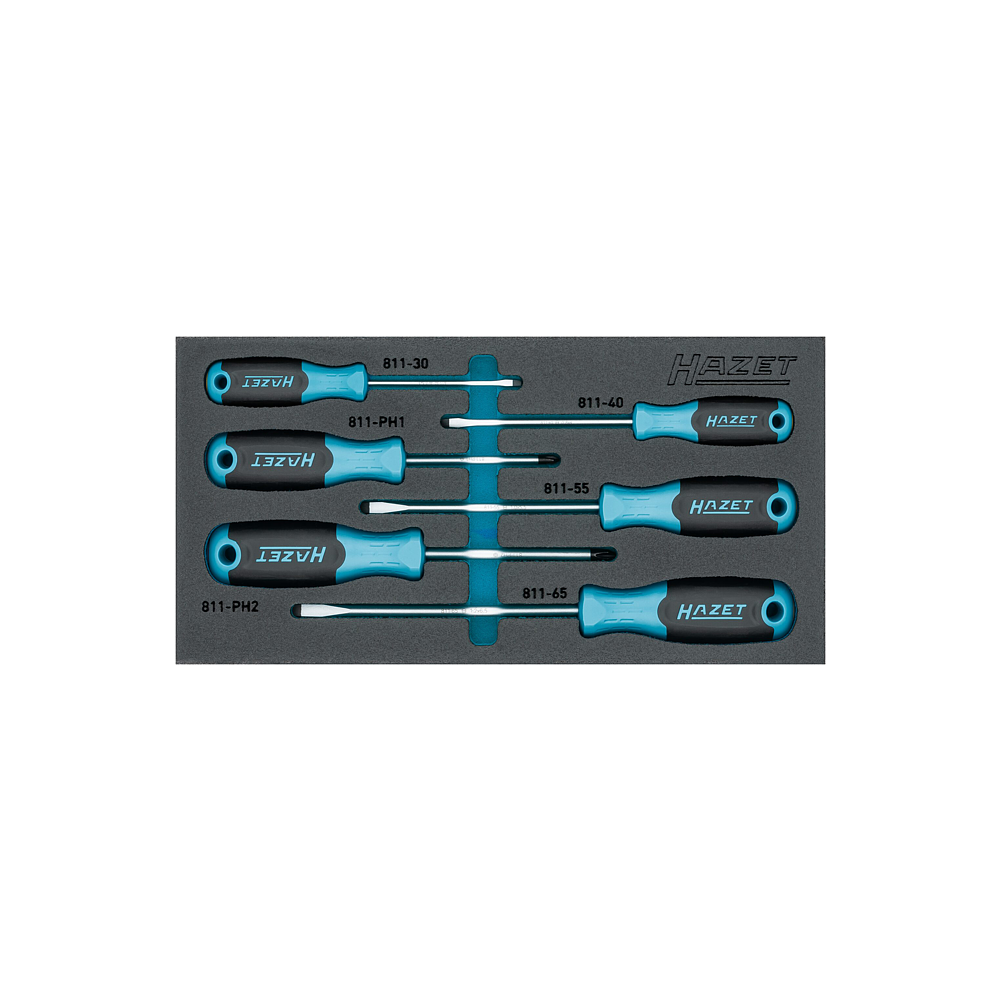 HAZET Sada šroubováků 163-265/6N ∙ Křížový profil PH, Plochý profil ∙ 6-dílný ∙ 0,5 x 3 ∙ 0,8 x 4 ∙ 1 x 5,5 ∙ 1,2 x 6,5 ∙ PH1 ∙ PH2
