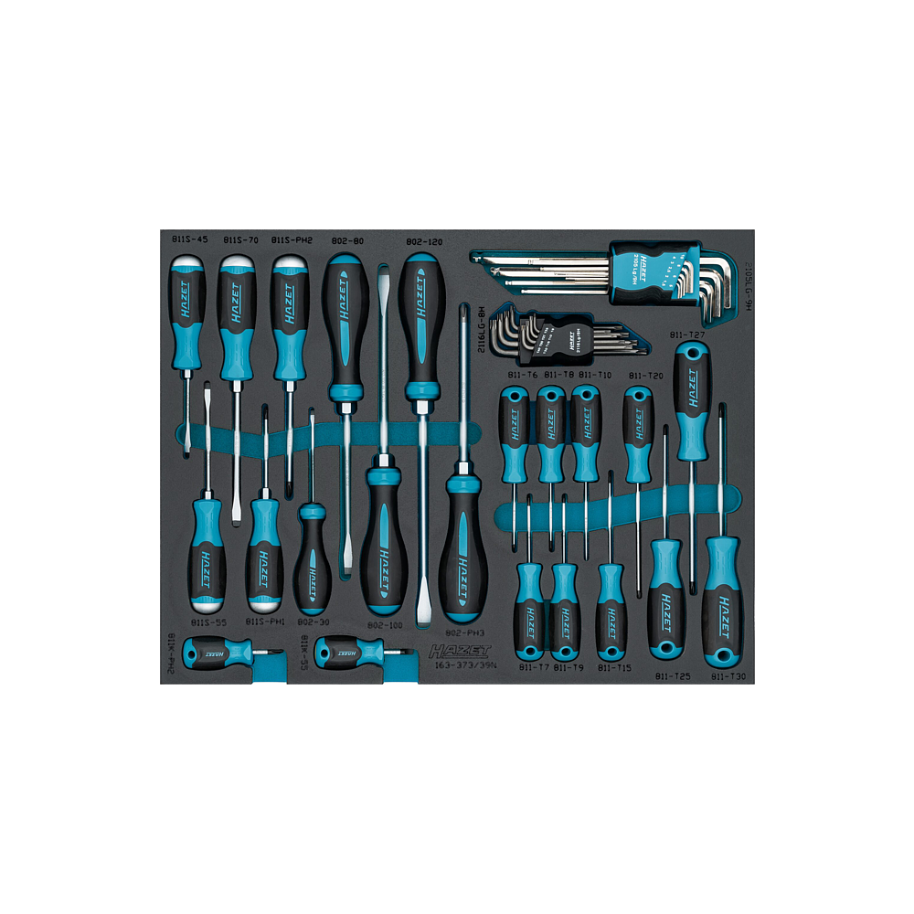HAZET Sada &scaron;roubov&aacute;ků 163-373/39N ∙ Ploch&yacute; profil, Kř&iacute;žov&yacute; profil PH, Vnitřn&iacute; profil TORX&reg;, Profil vnitřn&iacute; &scaron;estihran ∙ 39-d&iacute;ln&yacute; ∙ 1,5&thinsp;&ndash;&thinsp;10 ∙ PH1&thinsp;&ndash;&thinsp;PH3 ∙ T6&thinsp;&ndash;&thinsp;T40
