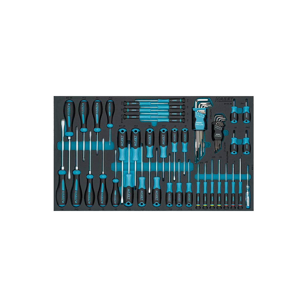 HAZET Sada šroubováků 163-480/57N ∙ Plochý profil, Křížový profil PH, Profil vnitřní šestihran, Vnitřní profil TORX® ∙ 57-dílný ∙ PH 00 – PH3 ∙ T5 – T40