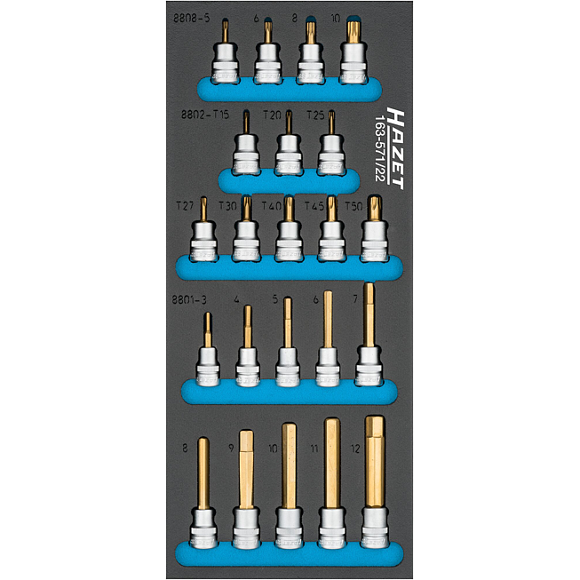 HAZET Sada nástrčných hlavic 163-571/22 ∙ 3/8 palce (10 mm) čtyřhran dutý ∙ Vnitřní profil TORX®, Vnitřní ozubený profil XZN, Profil vnitřní šestihran ∙ 22-dílný ∙ 19 – 36