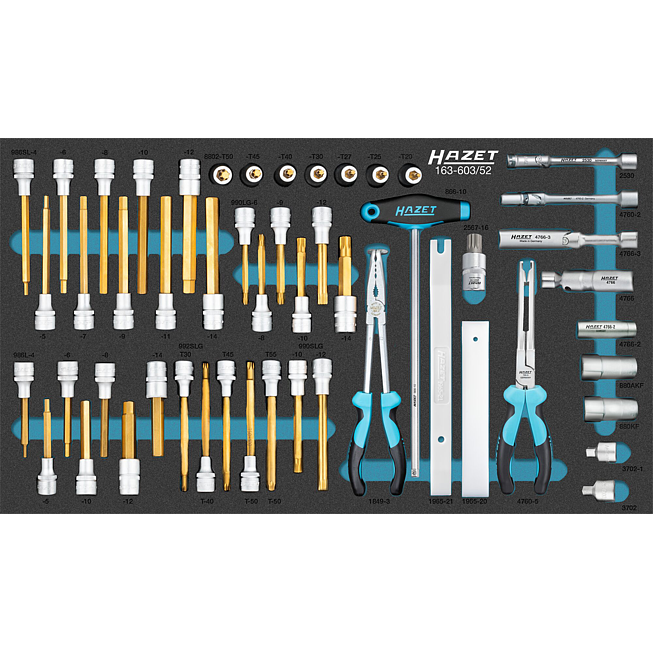 HAZET Sada nástrčných hlavic 163-603/52 ∙ 1/2 palce (12,5 mm) čtyřhran dutý, 3/8 palce (10 mm) čtyřhran dutý ∙ Profil vnější dvojitý šestihran, Profil vnější šestihran, Trakční profil vnější šestihran, Profil vnitřní šestihran, Vnitřní profil TORX®, 