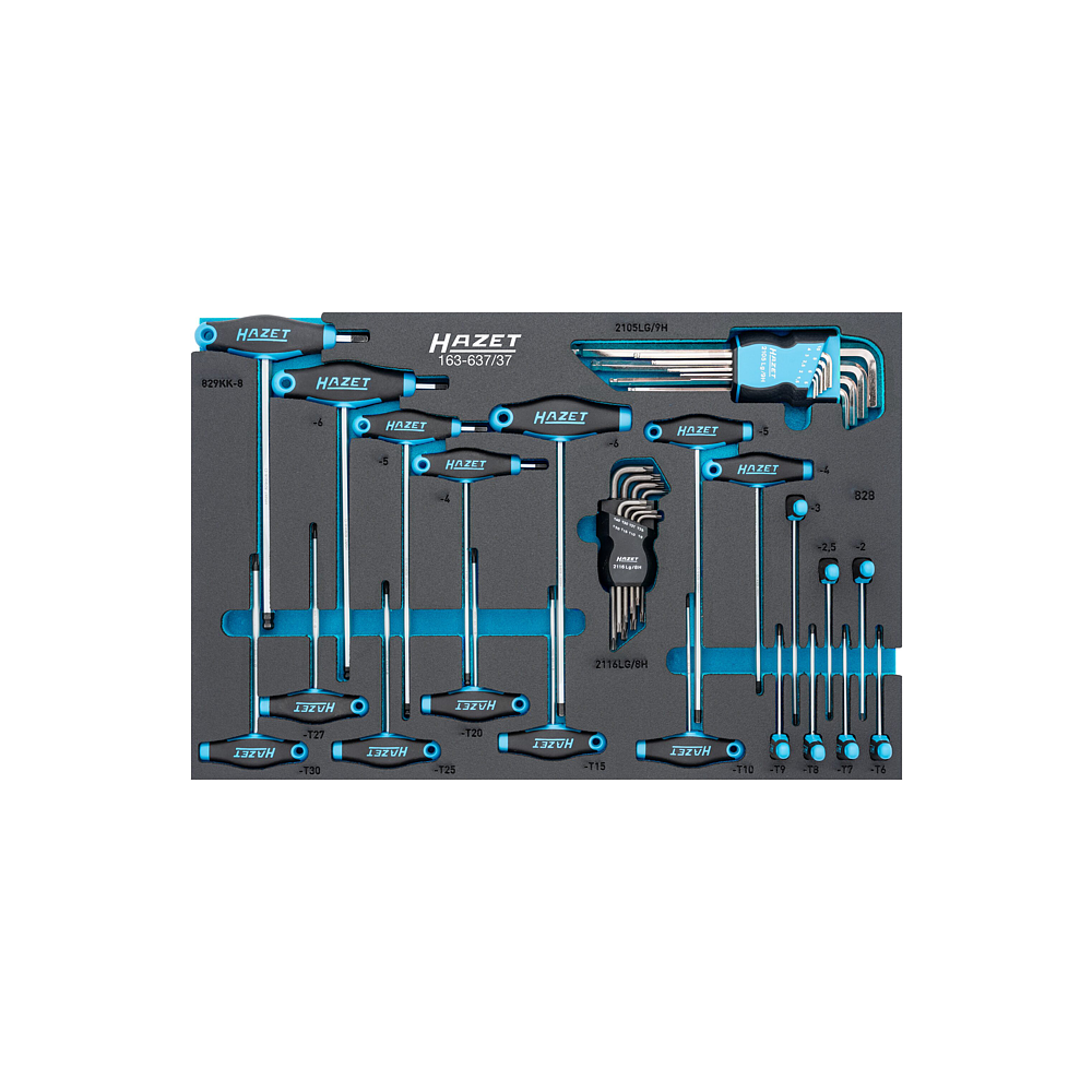 HAZET Sada n&aacute;řad&iacute; 163-637/37 ∙ 37-d&iacute;ln&yacute;