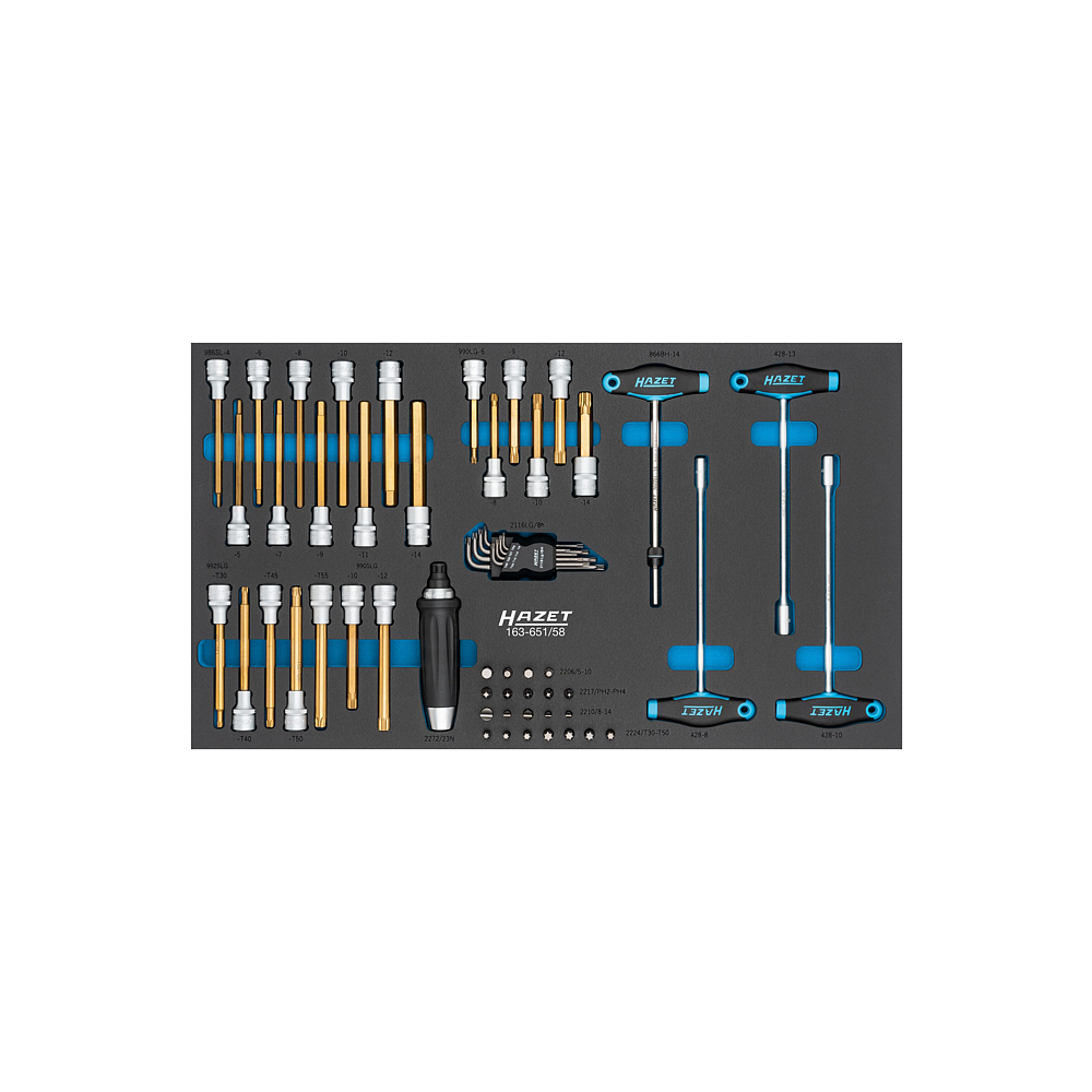 HAZET Sada n&aacute;řad&iacute; 163-651/58 ∙ 58-d&iacute;ln&yacute;