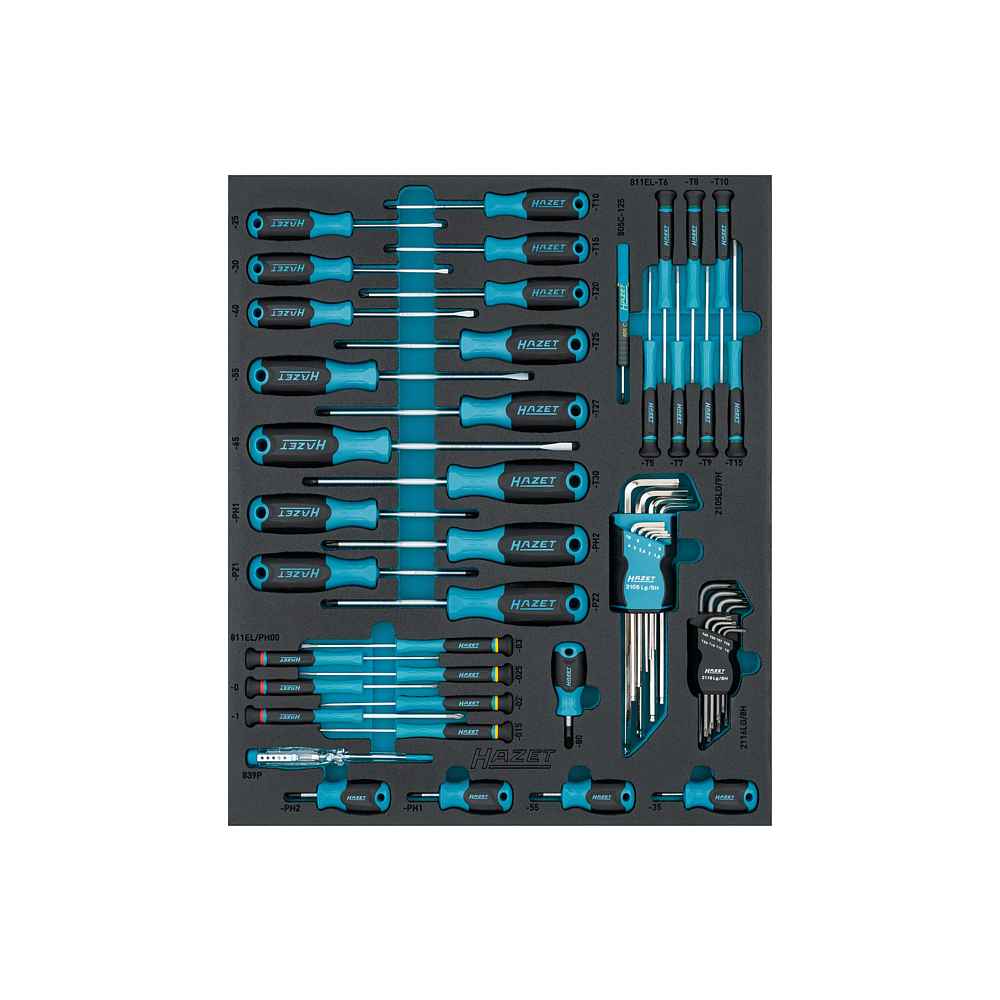HAZET Sada &scaron;roubov&aacute;ků 163D-6/53N ∙ Profil vnitřn&iacute; &scaron;estihran, Vnitřn&iacute; profil TORX&reg;, Kř&iacute;žov&yacute; profil PH, Profil Pozidriv PZ, Ploch&yacute; profil ∙ 53-d&iacute;ln&yacute; ∙ 1,5&thinsp;&ndash;&thinsp;10 ∙ PH 00&thinsp;&ndash;&thinsp;PH2 ∙ PZ1&thinsp;&ndash;&thinsp;PZ2 ∙ T5&thinsp;&ndash;&thinsp;T40