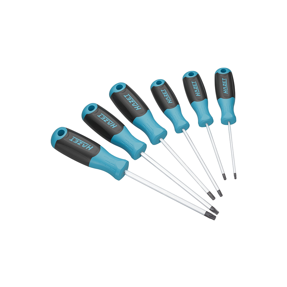 HAZET Šroubováky 811T/6 ∙ Vnitřní profil TORX® ∙ 6-dílný ∙ T10 ∙ T15 ∙ T20 ∙ T25 ∙ T27 ∙ T30