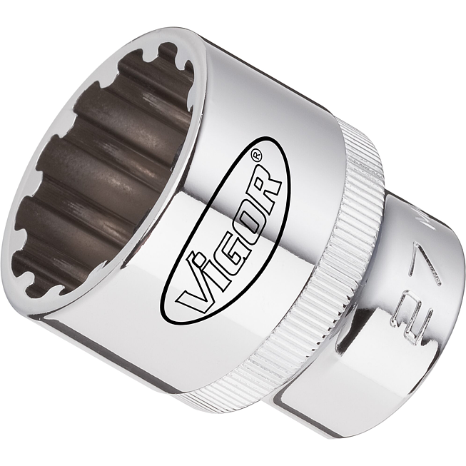 VIGOR Nástrčná hlavice s Multiprofilem ∙ V1983 ∙ 1/4 palce (6,3 mm) čtyřhran dutý ∙ Multiprofil ∙ Velikost 10 mm