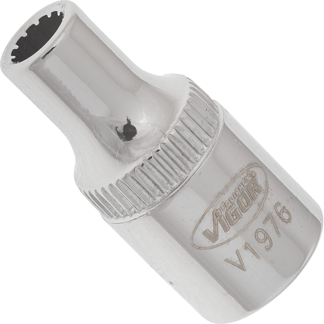 VIGOR Nástrčná hlavice s Multiprofilem ∙ V1976 ∙ 1/4 palce (6,3 mm) čtyřhran dutý ∙ Multiprofil ∙ Velikost 4 mm