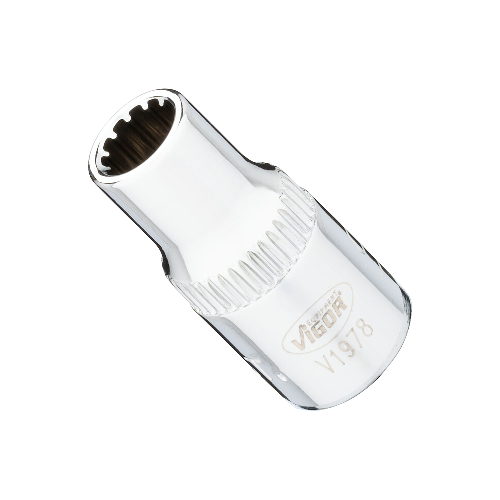 VIGOR N&aacute;strčn&aacute; hlavice ∙ V1978 ∙ 1/4 palce (6,3 mm) čtyřhran dut&yacute; ∙ Multiprofil ∙ Velikost 5,5 mm