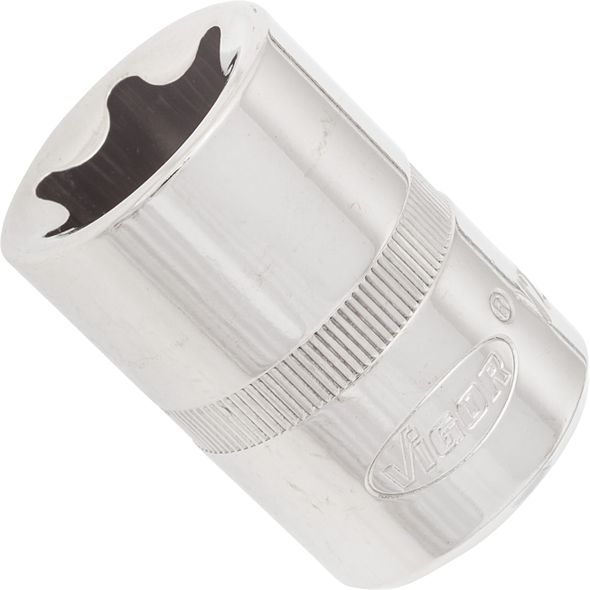 VIGOR T nástrčná hlavice ∙ V2592N ∙ 1/2 palce (12,5 mm) čtyřhran dutý ∙ Vnější profil TORX® ∙ Velikost E24
