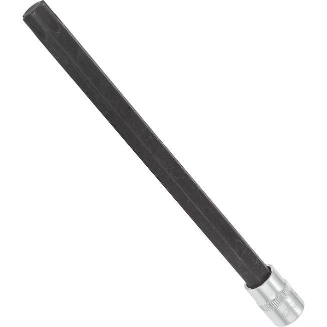 VIGOR T nástrčná hlavice ∙ V6104 ∙ 3/8 palce (10 mm) čtyřhran dutý ∙ Vnitřní profil TORX® ∙ Velikost T60