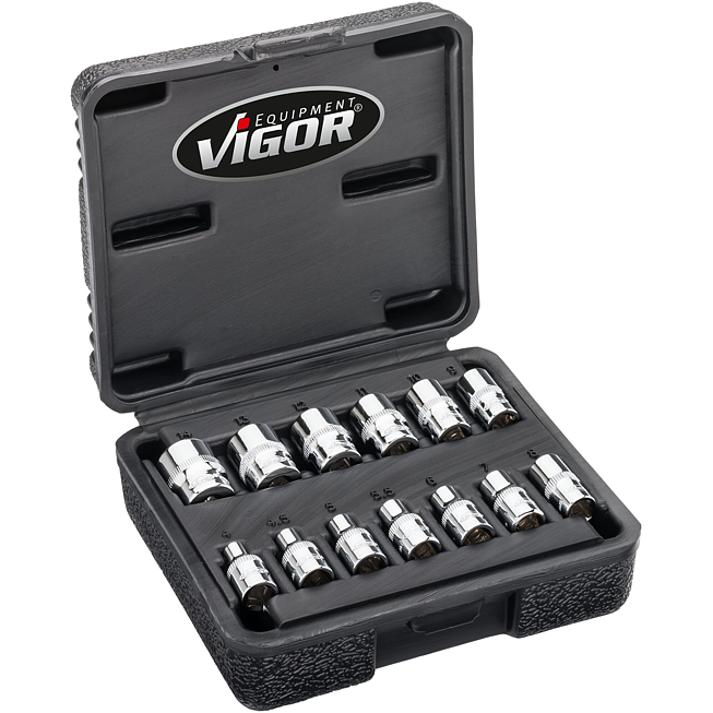 VIGOR Sada nástrčných hlavic s dvojitým šestihranem ∙ V7514/13 ∙ 1/4 palce (6,3 mm) čtyřhran dutý ∙ Vnější dvojitý šestihran profil ∙ 13-dílný ∙ 4 – 14 mm ∙ Počet ks nářadí: 13